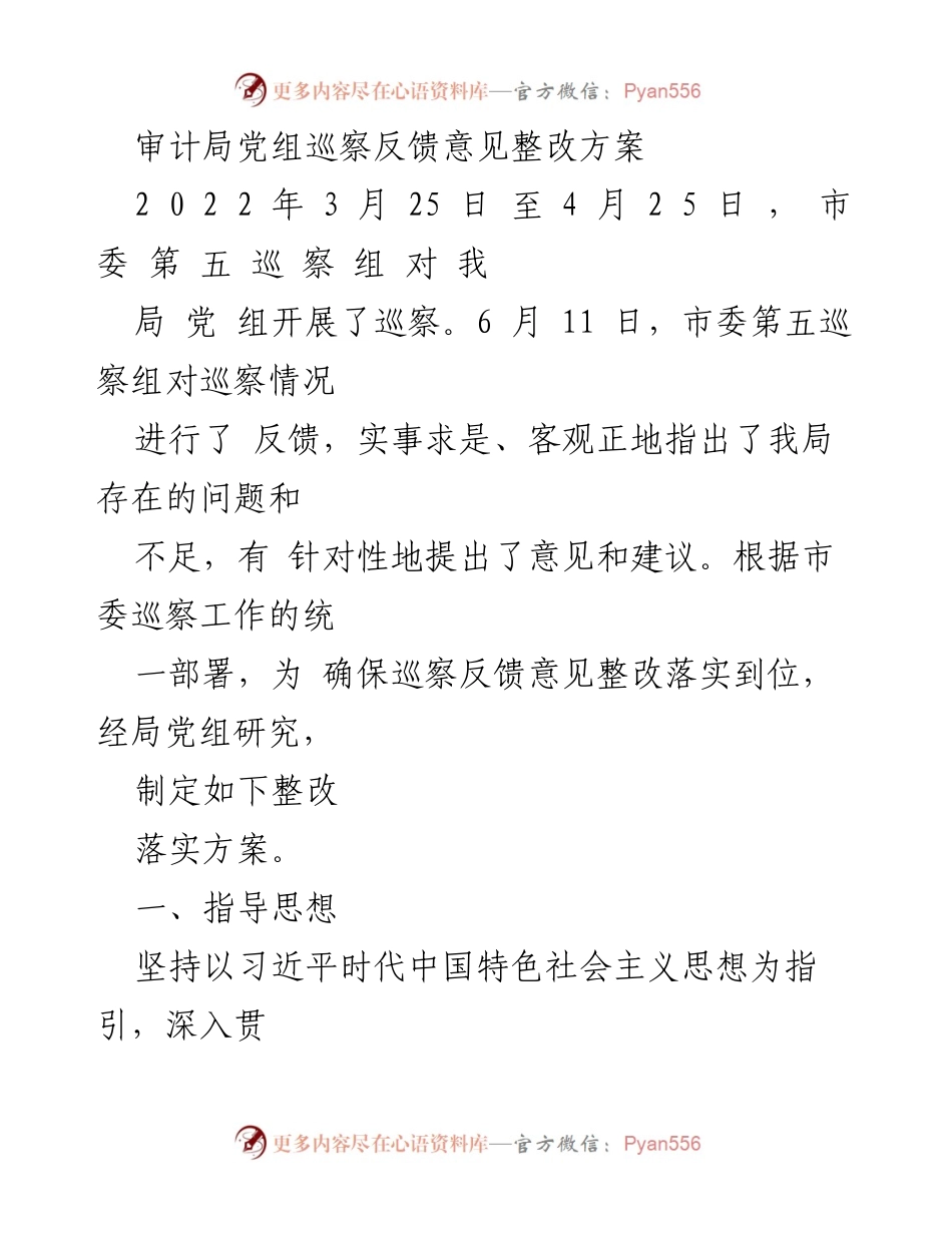 [整改方案] 审计局巡察 - 审计局党组巡察反馈意见整改落实方案.docx_第1页