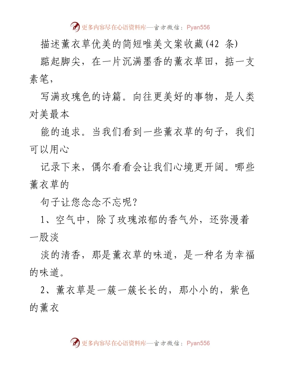 [文案] 薰衣草主题 - 薰衣草的诗意与美好.docx_第1页