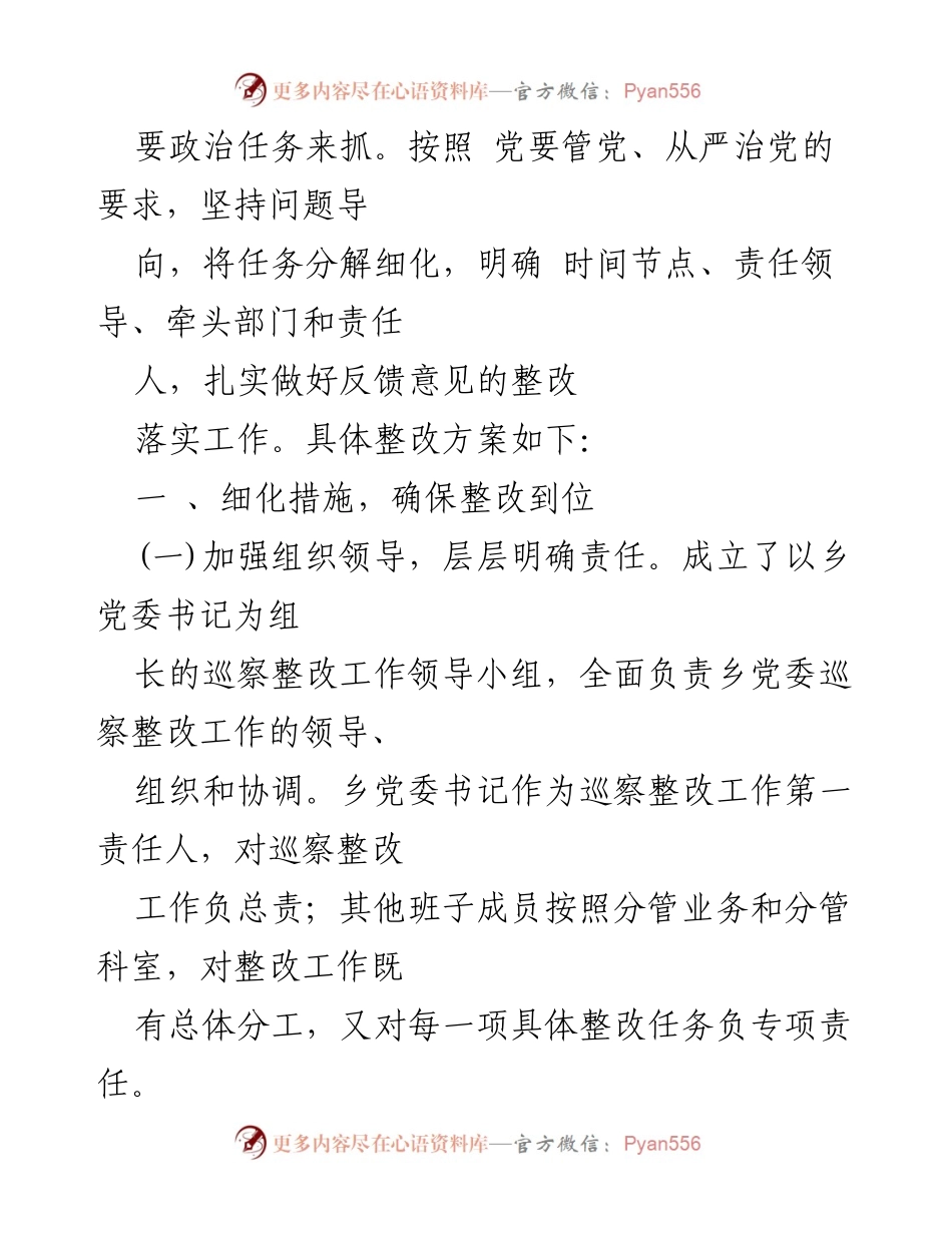 [整改方案] 巡察反馈 - 乡委员会巡察整改方案实施细则.docx_第2页
