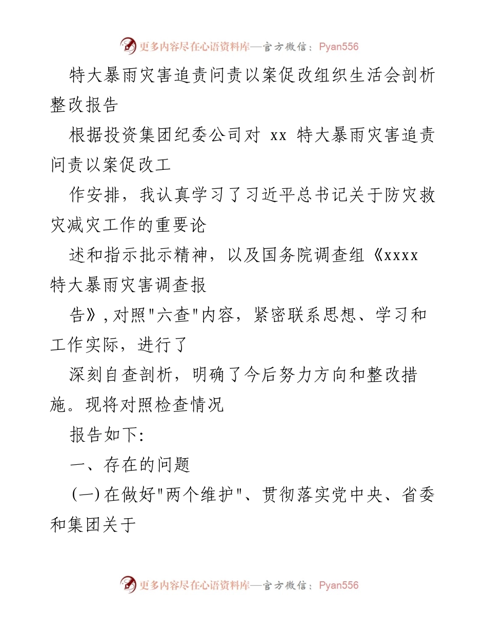 [整改报告] 组织生活会 - 特大暴雨灾害追责问责整改自查分析报告.docx_第1页