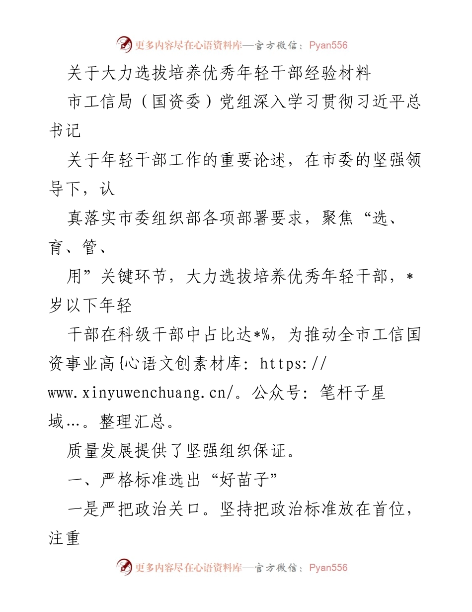 [经验材料] 市工信局（国资委）干部选拔 - 大力选拔培养优秀年轻干部的经验与措施.docx_第1页