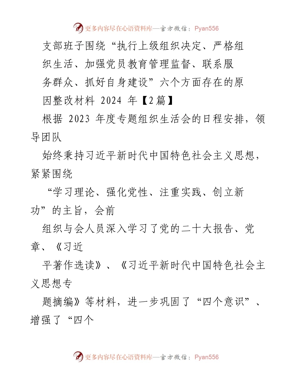 [整改材料] 专题组织生活会 - 支部班子整改措施及存在问题分析报告.docx_第1页