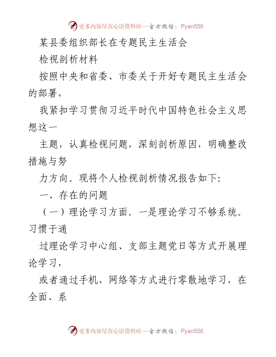 [检视剖析材料] 专题民主生活会 - 组织部长个人检视剖析报告.docx_第1页