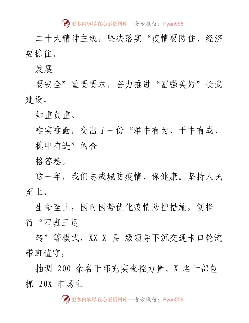 [政府工作报告] 县政府会议 - 2023年XX县政府工作总结报告.docx_第2页