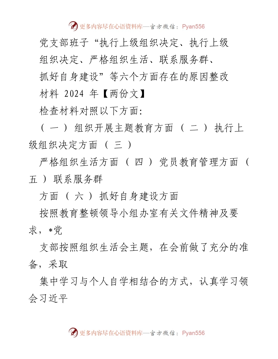 [整改材料] 党支部组织生活会 - 党支部班子整改情况报告.docx_第1页