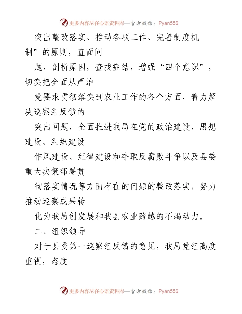 [整改方案] 农业局 - 巡察反馈问题整改方案实施计划.docx_第2页