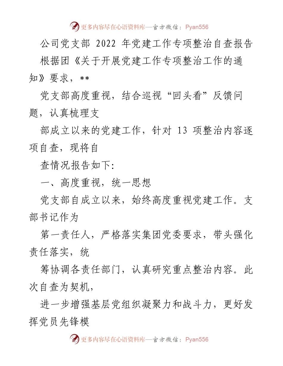 [自查报告] 党建工作 - 2022年党建工作专项整治自查报告_2.docx_第1页