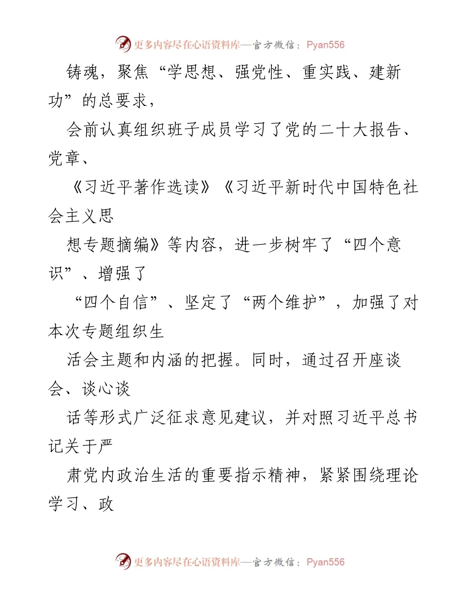 [整改材料] 党支部专题组织生活会 - 2024年党支部班子整改措施及问题分析.docx_第2页