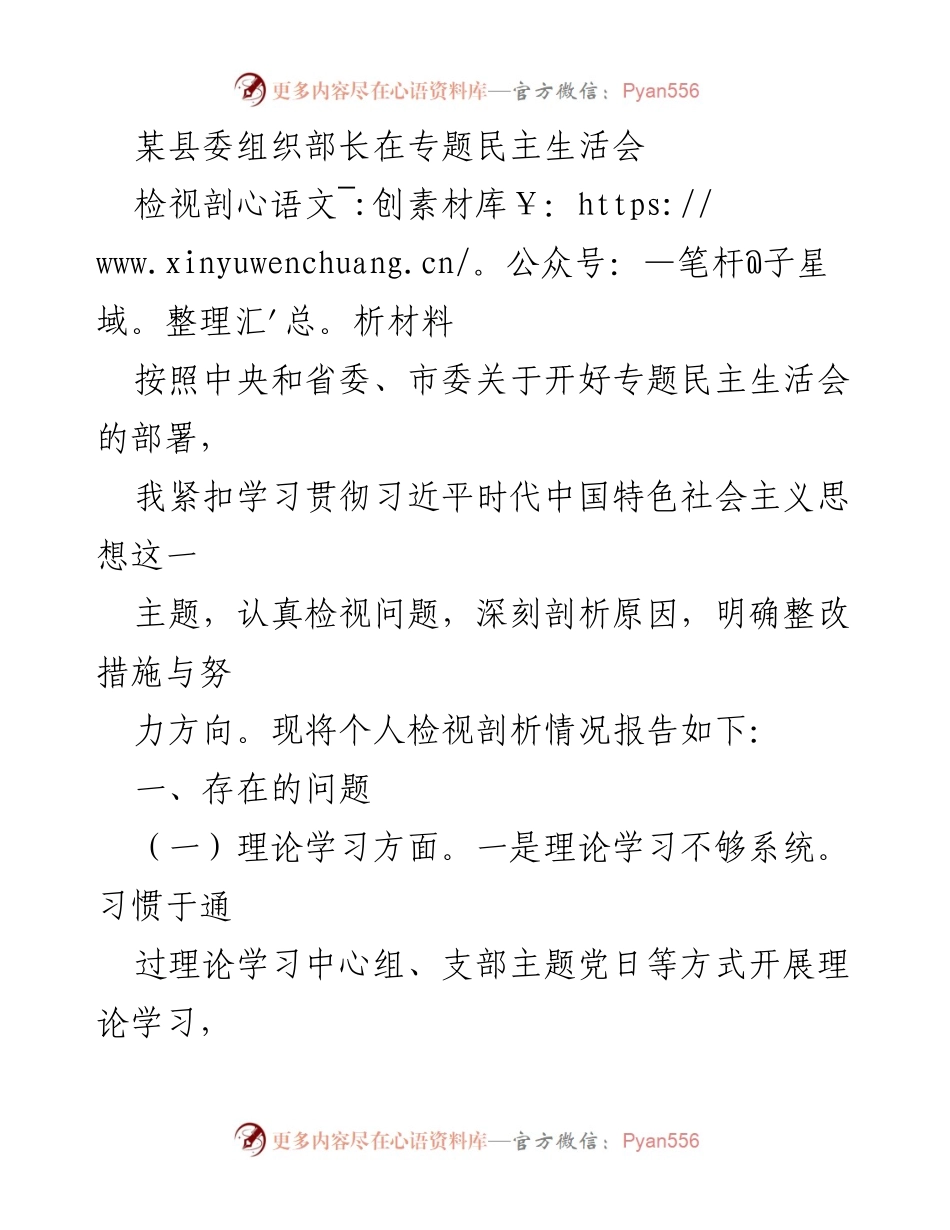 [检视剖析材料] 专题民主生活会 - 组织部长个人问题检视与整改措施报告.docx_第1页