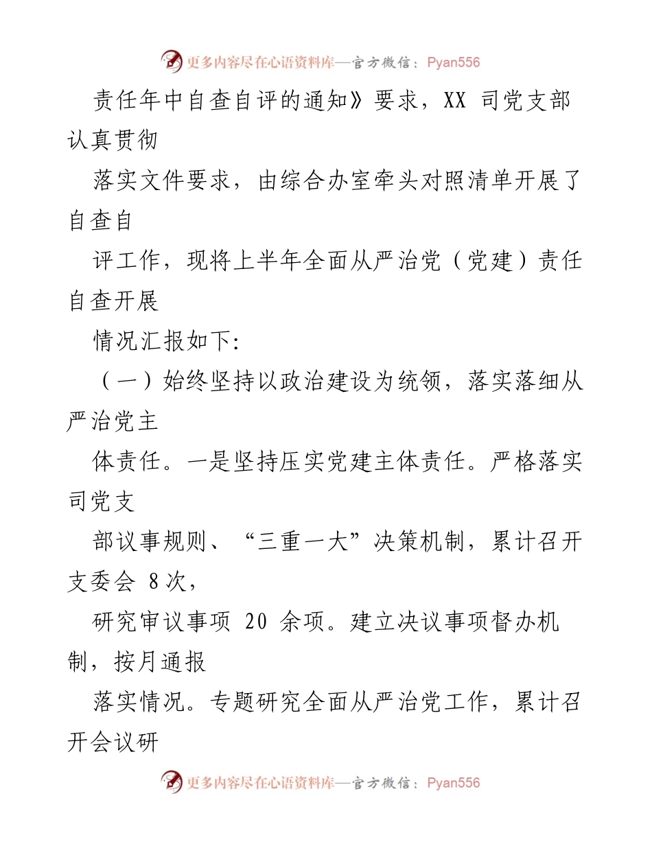 [自查报告] 党建工作 - 2023年国企党支部全面从严治党责任落实年中自查报告.docx_第2页