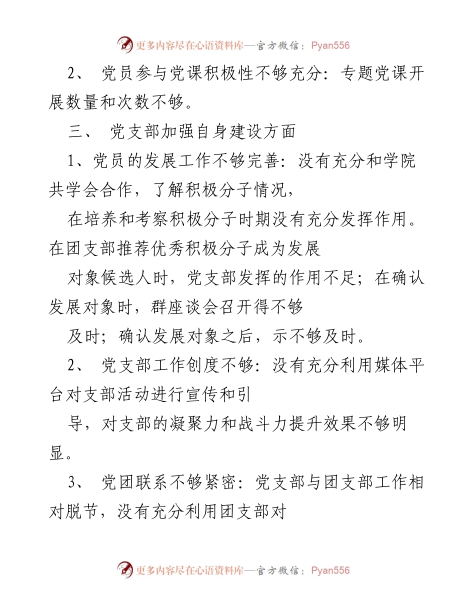 [整改报告] 党支部工作 - 党支部班子问题查摆及整改措施.docx_第2页