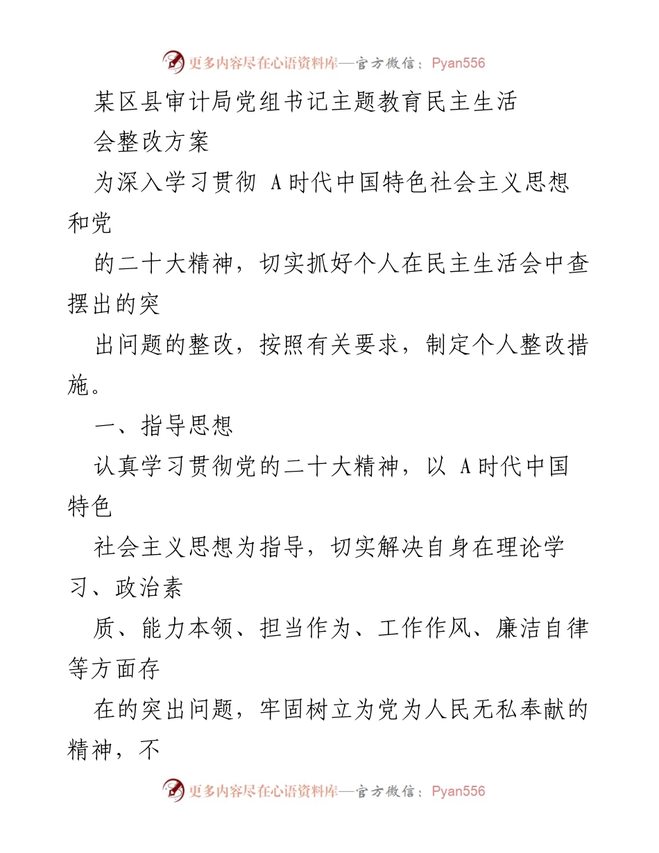 [整改方案] 主题教育民主生活会 - 审计局党组书记个人整改措施方案.docx_第1页