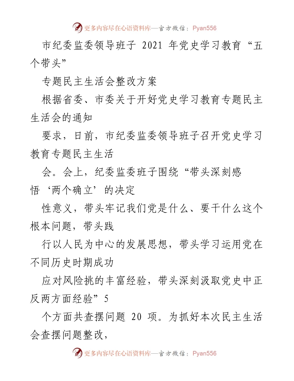[整改方案] 党史学习教育专题民主生活会 - 市纪委监委领导班子整改方案分析.docx_第1页