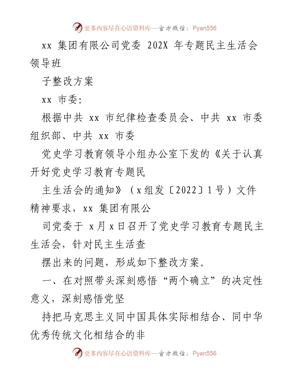 [整改方案] 党委民主生活会 - xx集团有限公司党委202X年专题民主生活会整改措施方案.docx_第1页