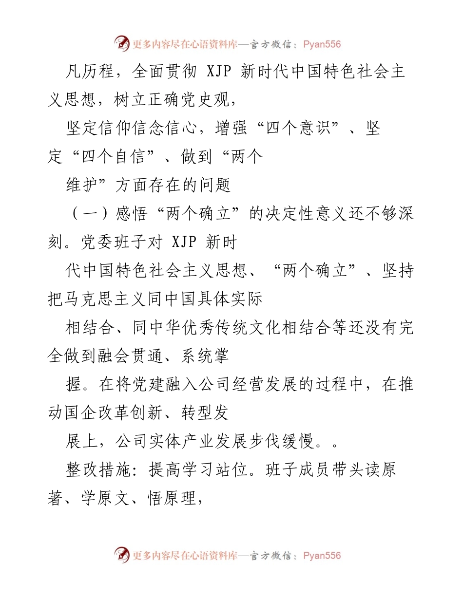 [整改方案] 党委民主生活会 - xx集团有限公司党委202X年专题民主生活会整改措施方案.docx_第2页