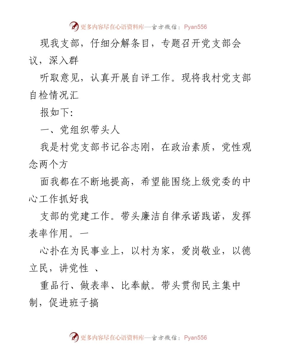 [自评报告] 村党支部 - 村党支部书记自我评价与整改方案总结.docx_第2页
