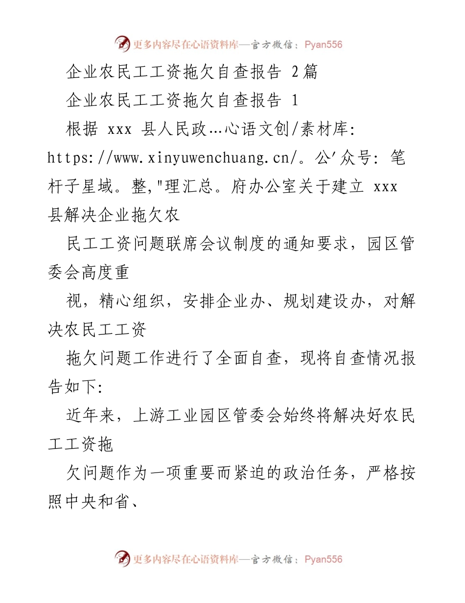 [自查报告] 工业园区 - 农民工工资拖欠问题自查及治理措施报告.docx_第1页