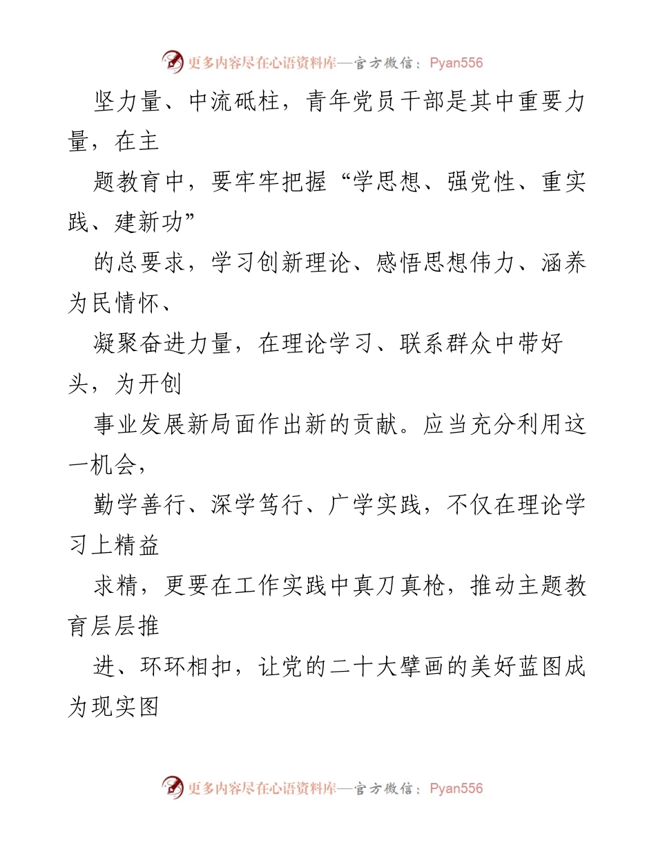[讲稿] 青年干部主题教育 - 青年干部坚定理想信念，践行初心使命.docx_第2页