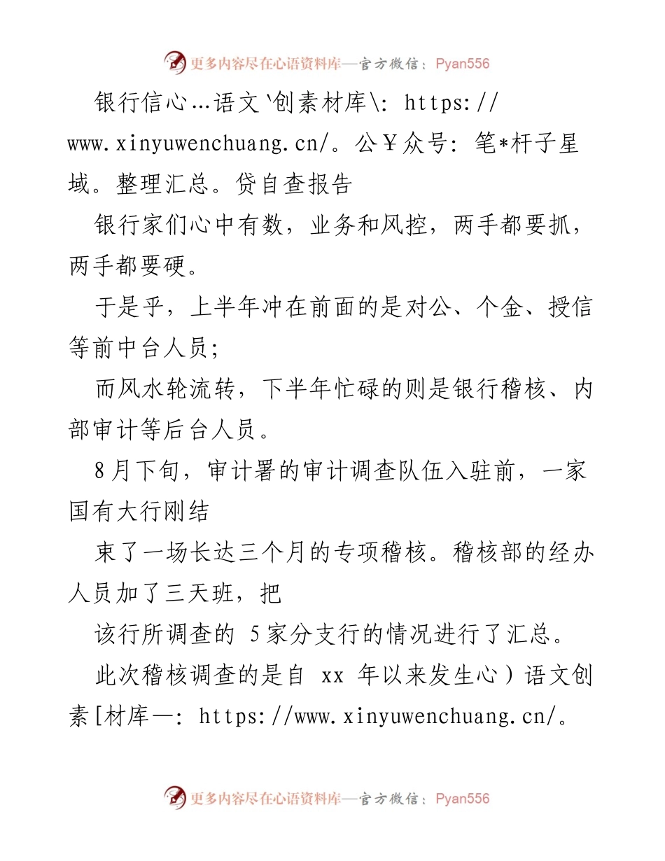 [自查报告] 银行信贷审计 - 银行信贷自查与风险排查现状分析.docx_第1页