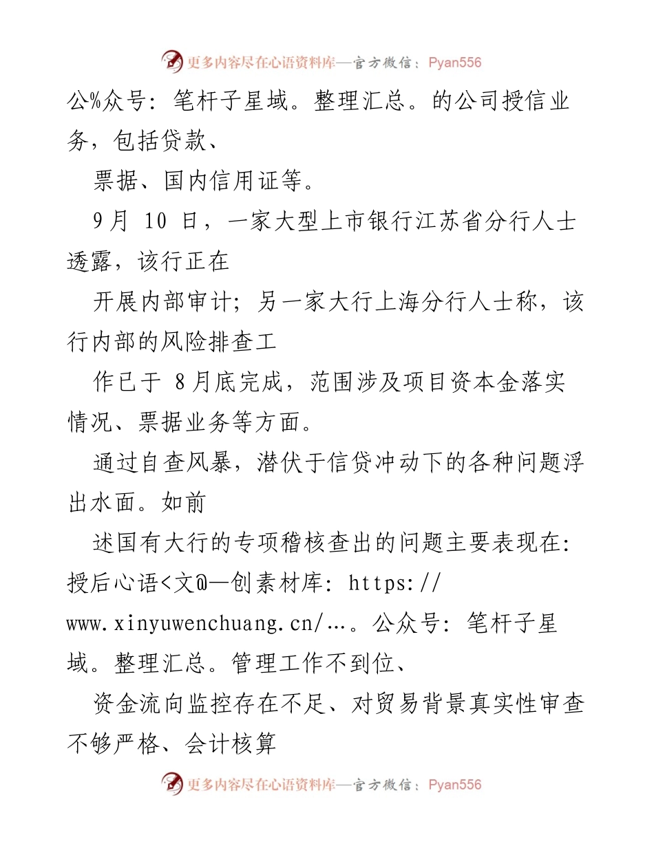 [自查报告] 银行信贷审计 - 银行信贷自查与风险排查现状分析.docx_第2页