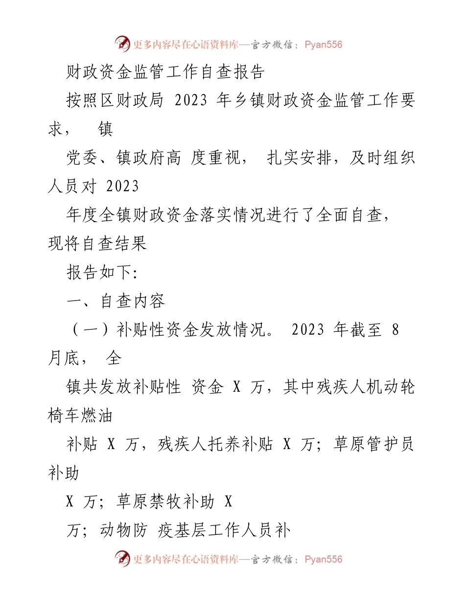 [自查报告] 财政资金监管 - 2023年度财政资金监管工作自查报告.docx_第1页