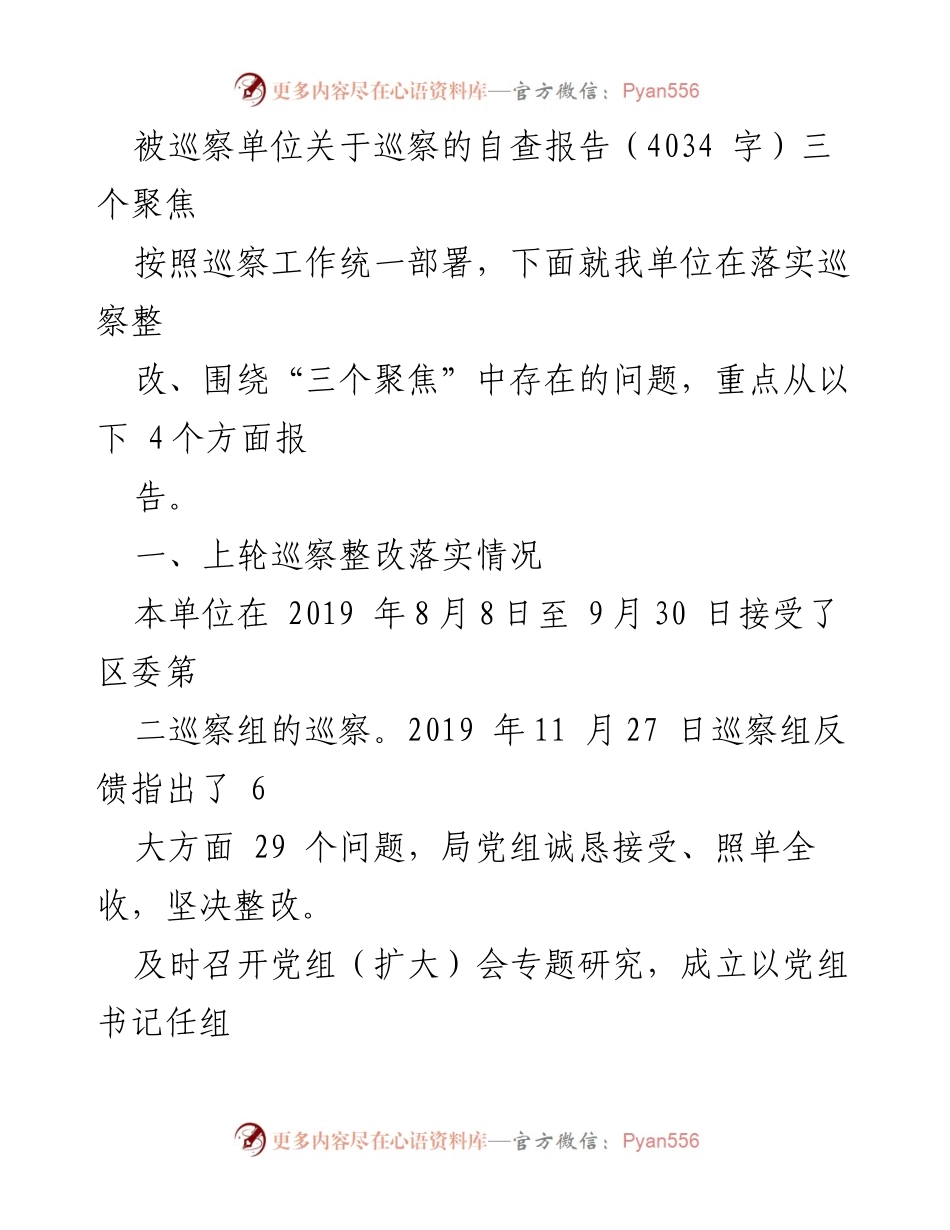 [自查报告] 巡察整改 - 被巡察单位巡察整改自查报告及存在问题分析.docx_第1页