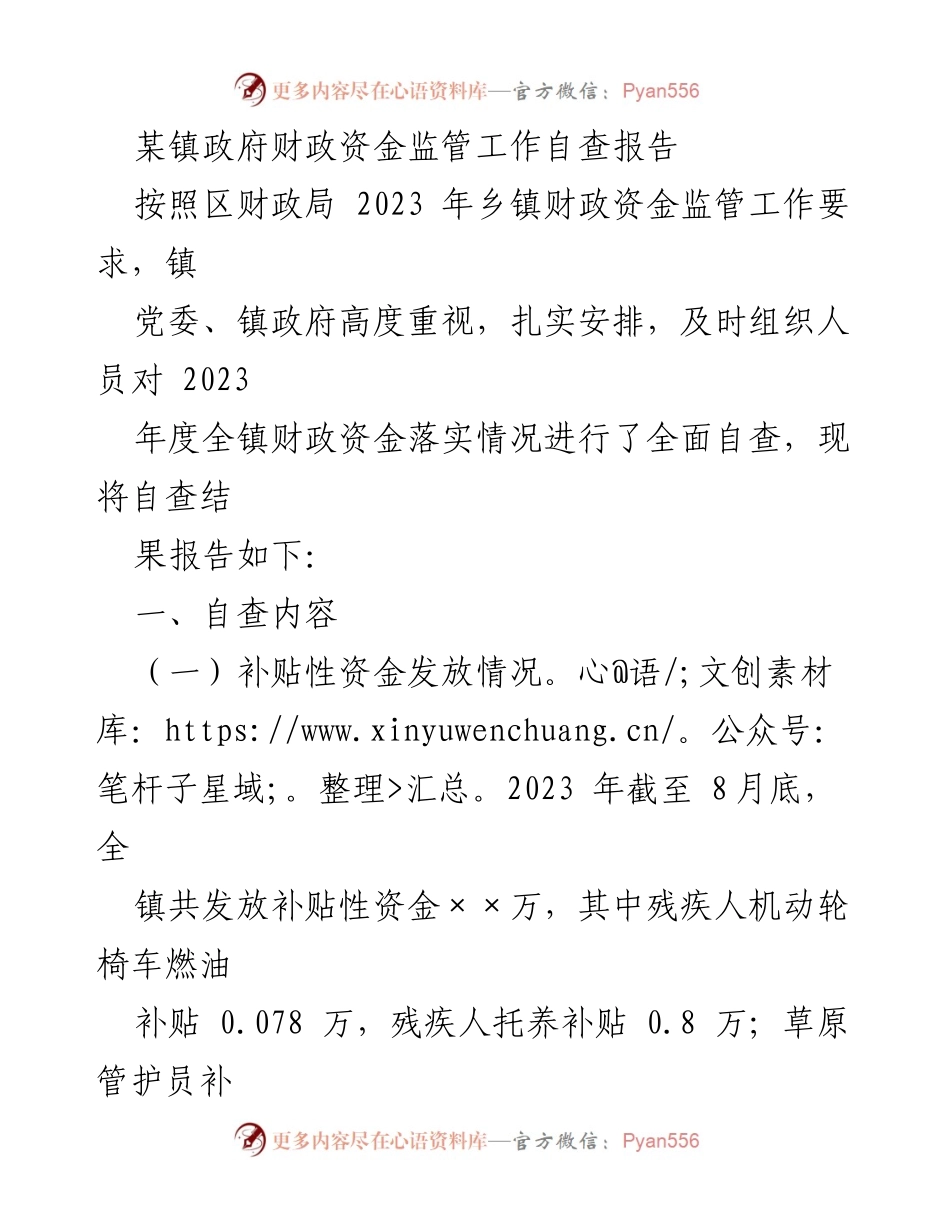 [自查报告] 镇政府财政资金监管 - 2023年度财政资金监管自查报告.docx_第1页