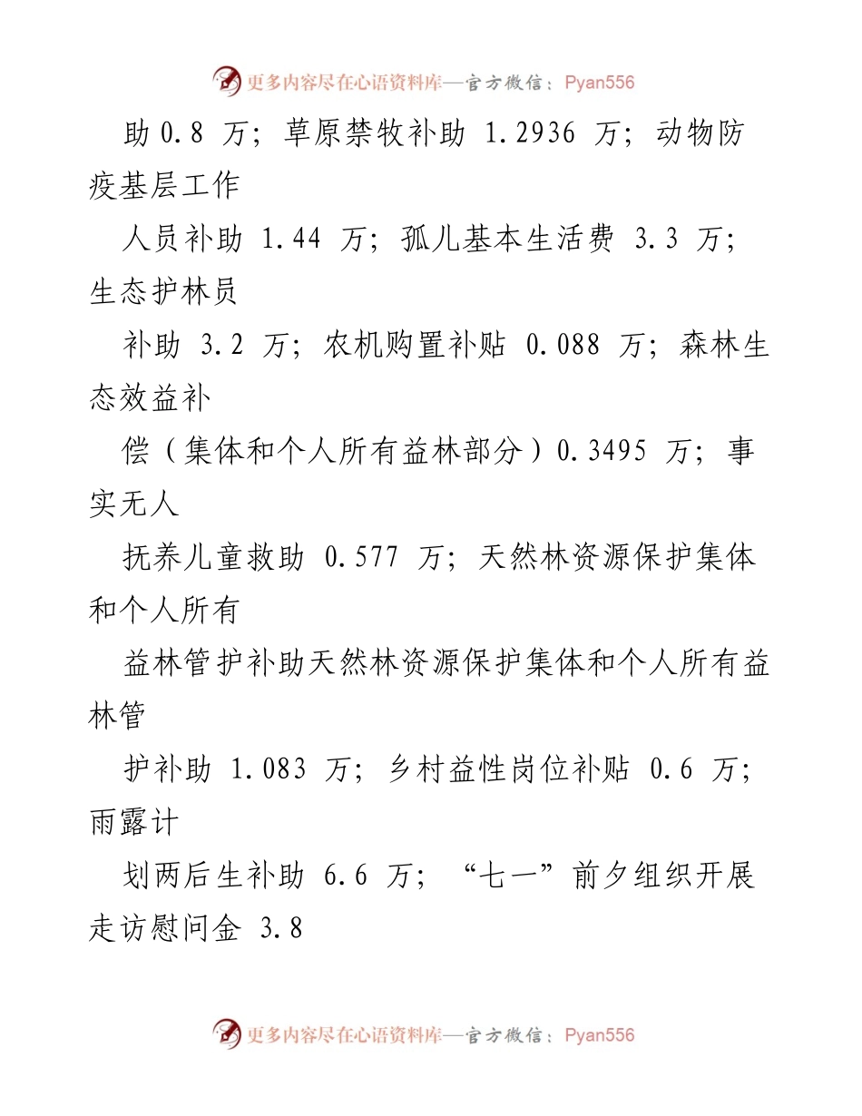 [自查报告] 镇政府财政资金监管 - 2023年度财政资金监管自查报告.docx_第2页