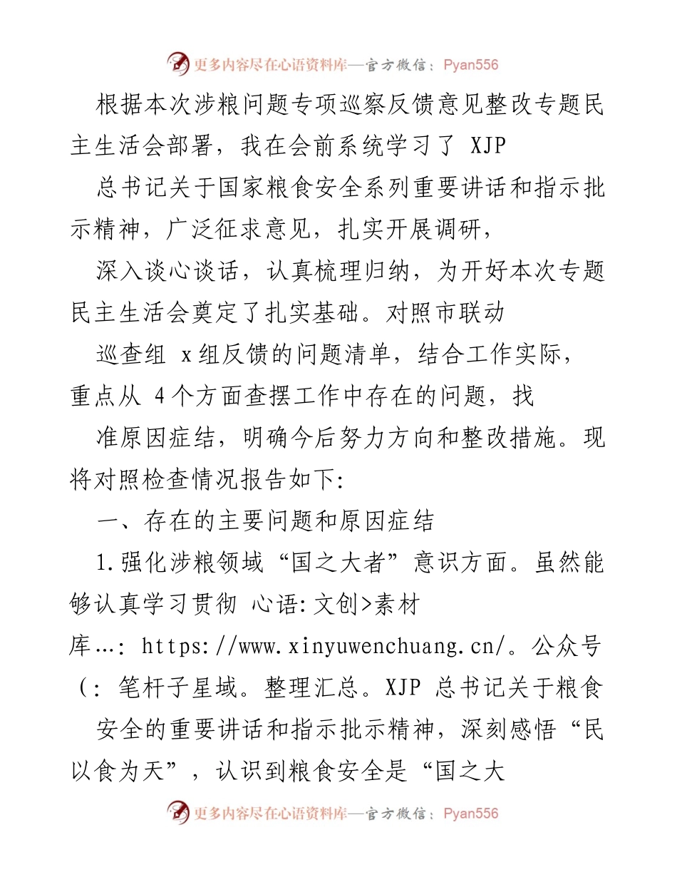 [调研报告] 专题民主生活会 - 深入查摆涉粮领域问题与整改措施.docx_第1页