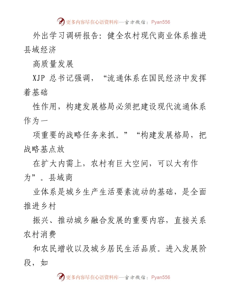 [调研报告] 农村经济发展 - 健全农村商业体系，推动县域经济高质量发展.docx_第1页