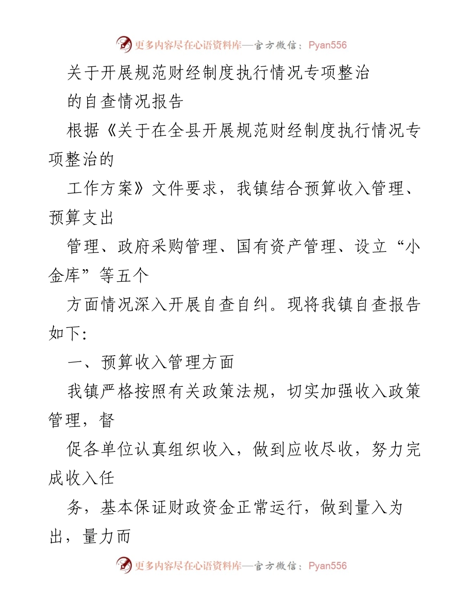 [自查报告] 财政管理专项整治 - 规范财经制度执行情况自查报告.docx_第1页