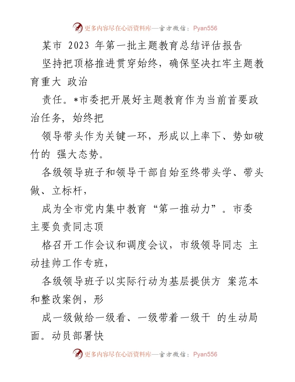 [调研报告] 主题教育总结 - 2023年某市主题教育总结评估报告.docx_第1页