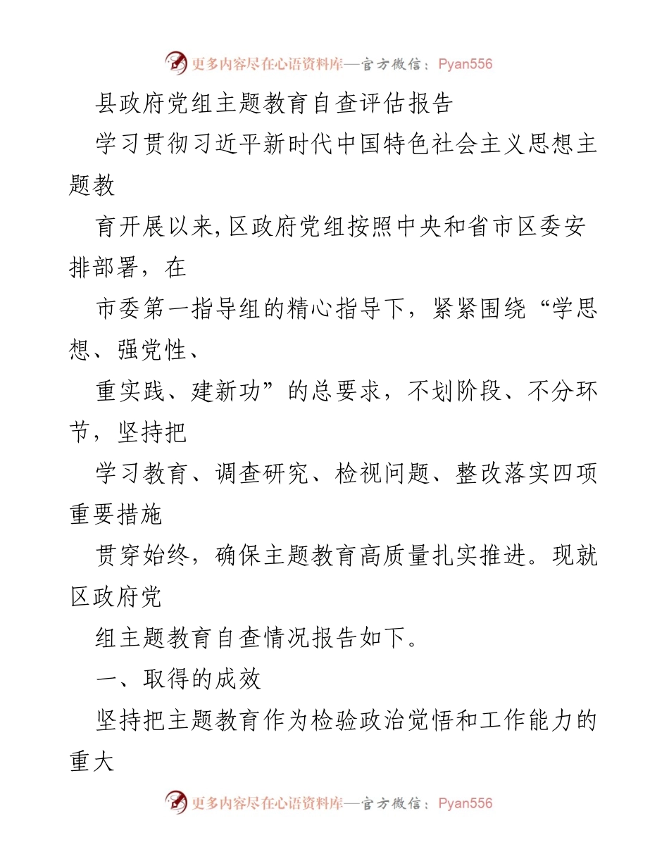 [调研报告] 县政府党组 - 主题教育自查评估报告总结与成效分析.docx_第1页