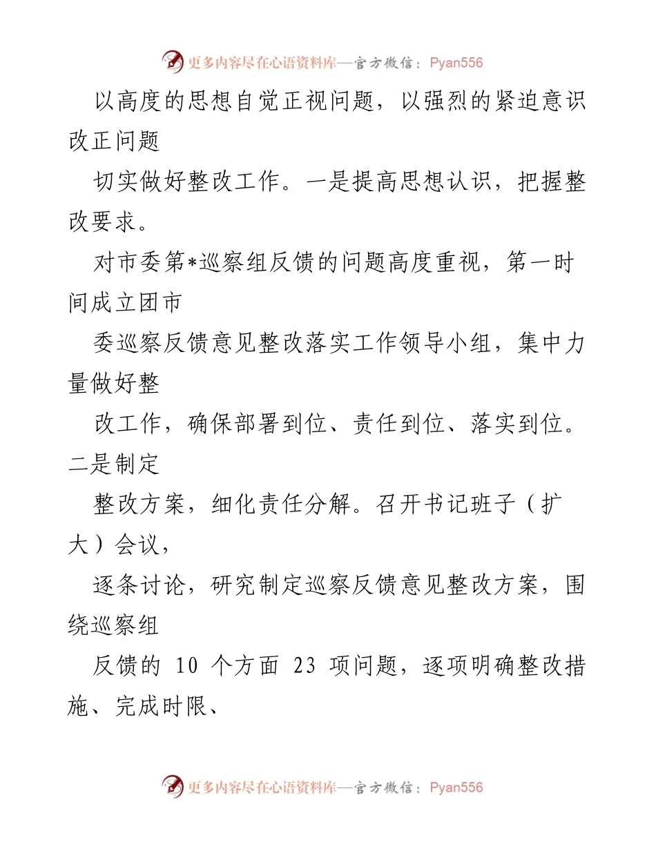 [调研报告] 团市委巡察整改 - 团市委巡察整改进展情况报告.docx_第2页