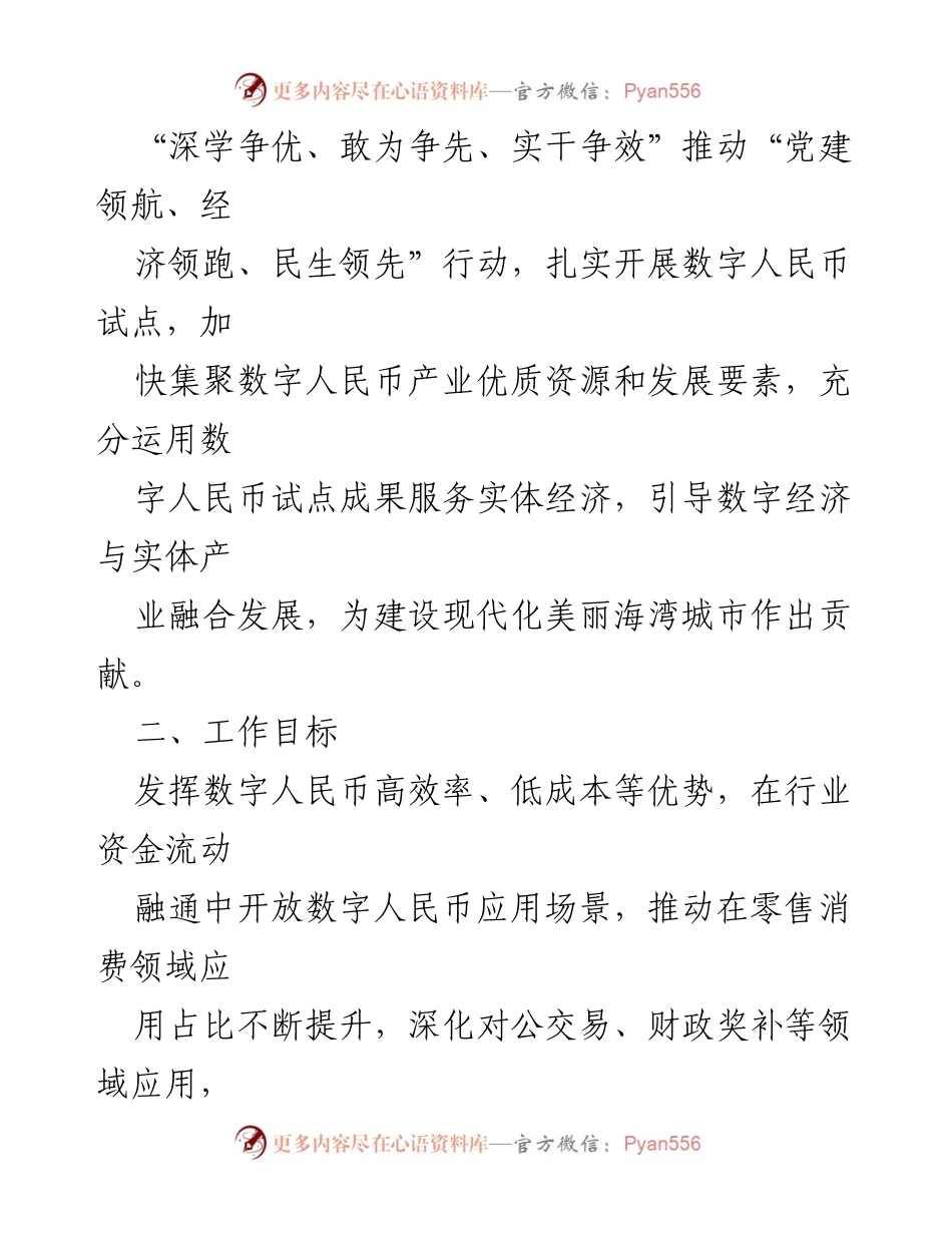 [行动计划] 数字人民币试点 - 2023年某县数字人民币试点行动计划.docx_第2页