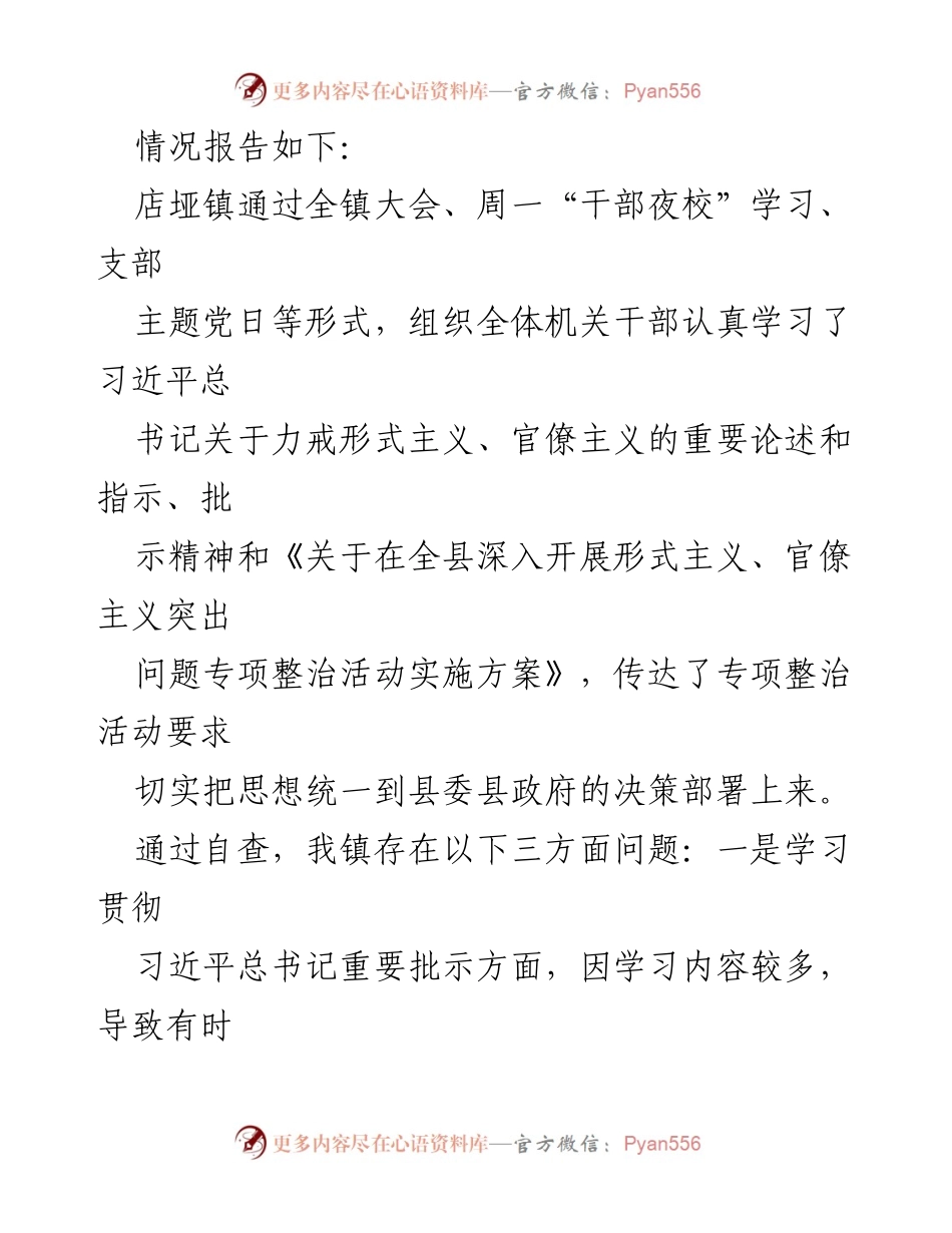 [自查报告] 镇级作风整治 - 形式主义与官僚主义问题自查及整改措施报告.docx_第2页