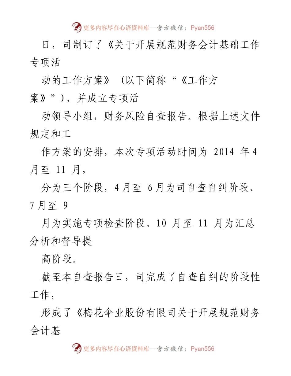 [自查报告] 财务风险自查 - 财务风险自查报告汇编及专项活动总结.docx_第2页