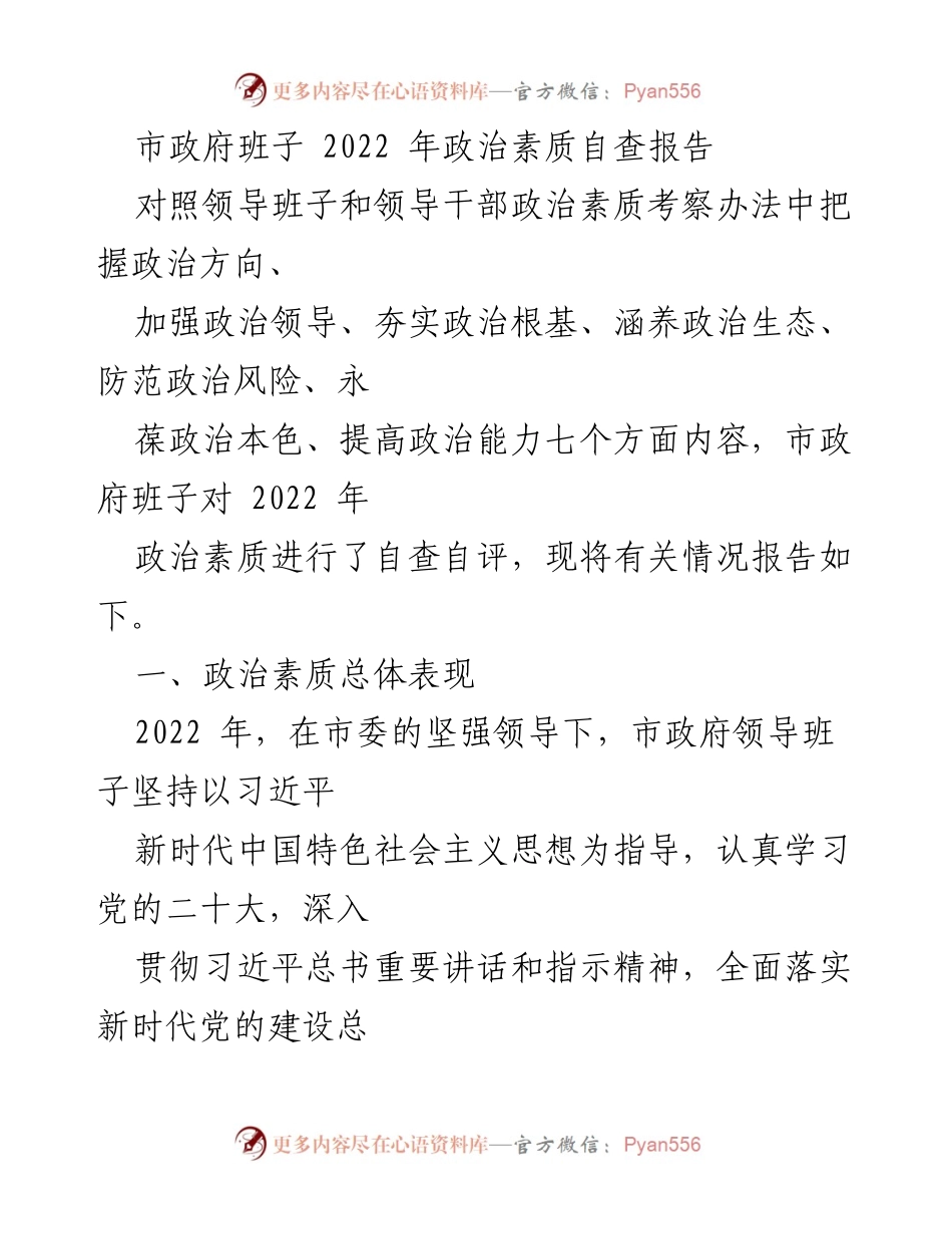 [自查报告] 政治素质 - 市政府班子2022年政治素质自查报告.docx_第1页