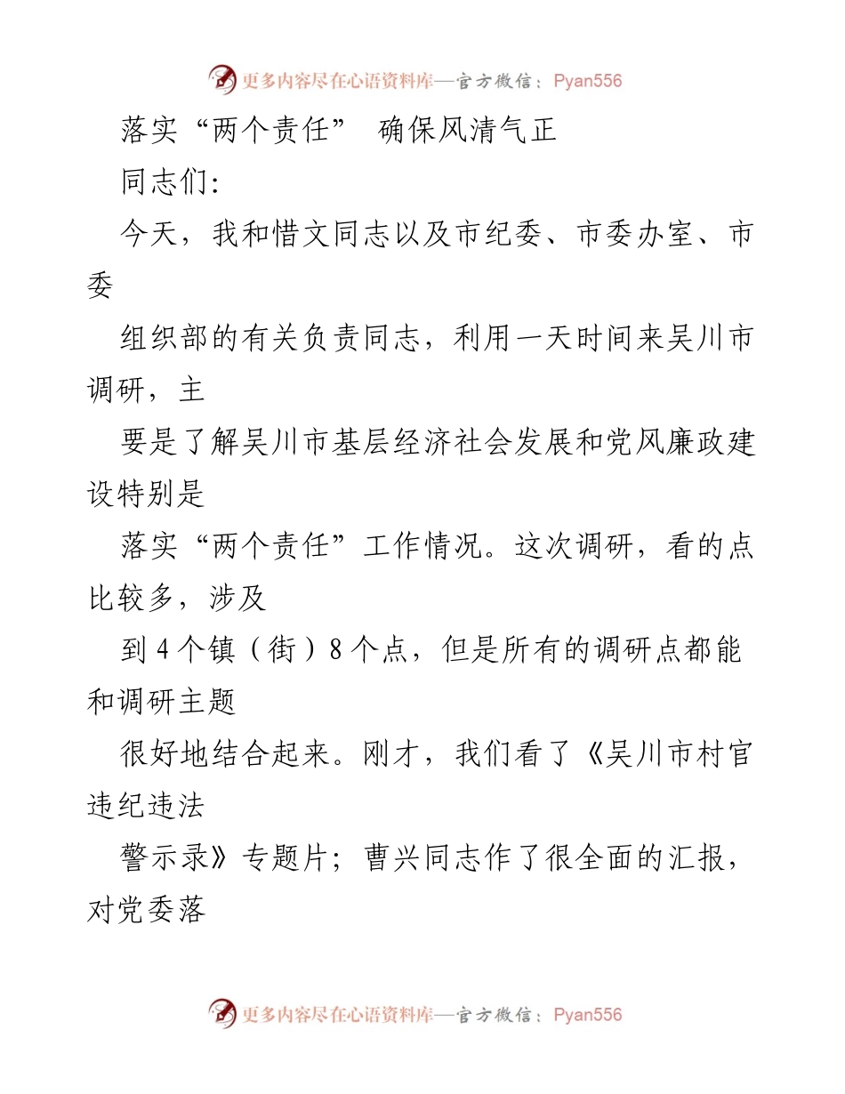 [调研报告] 吴川市 - 深入调研“两个责任”落实情况及经济社会发展成效.docx_第1页