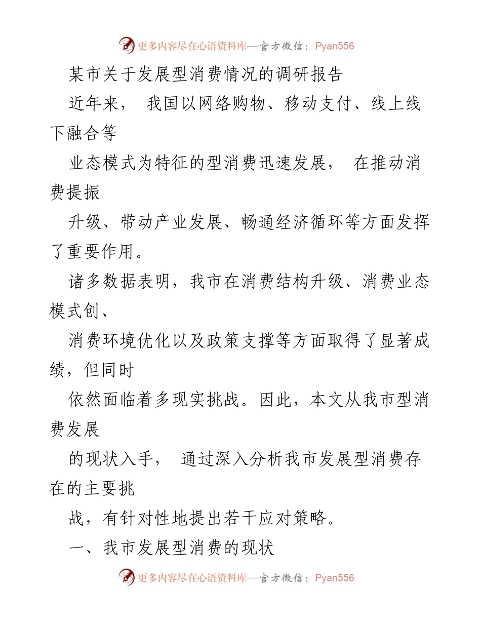 [调研报告] 市场消费 - 某市发展型消费现状与挑战分析报告.docx_第1页