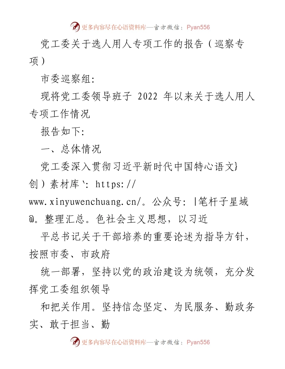 [调研报告] 巡察专项 - 党工委选人用人专项工作情况报告.docx_第1页