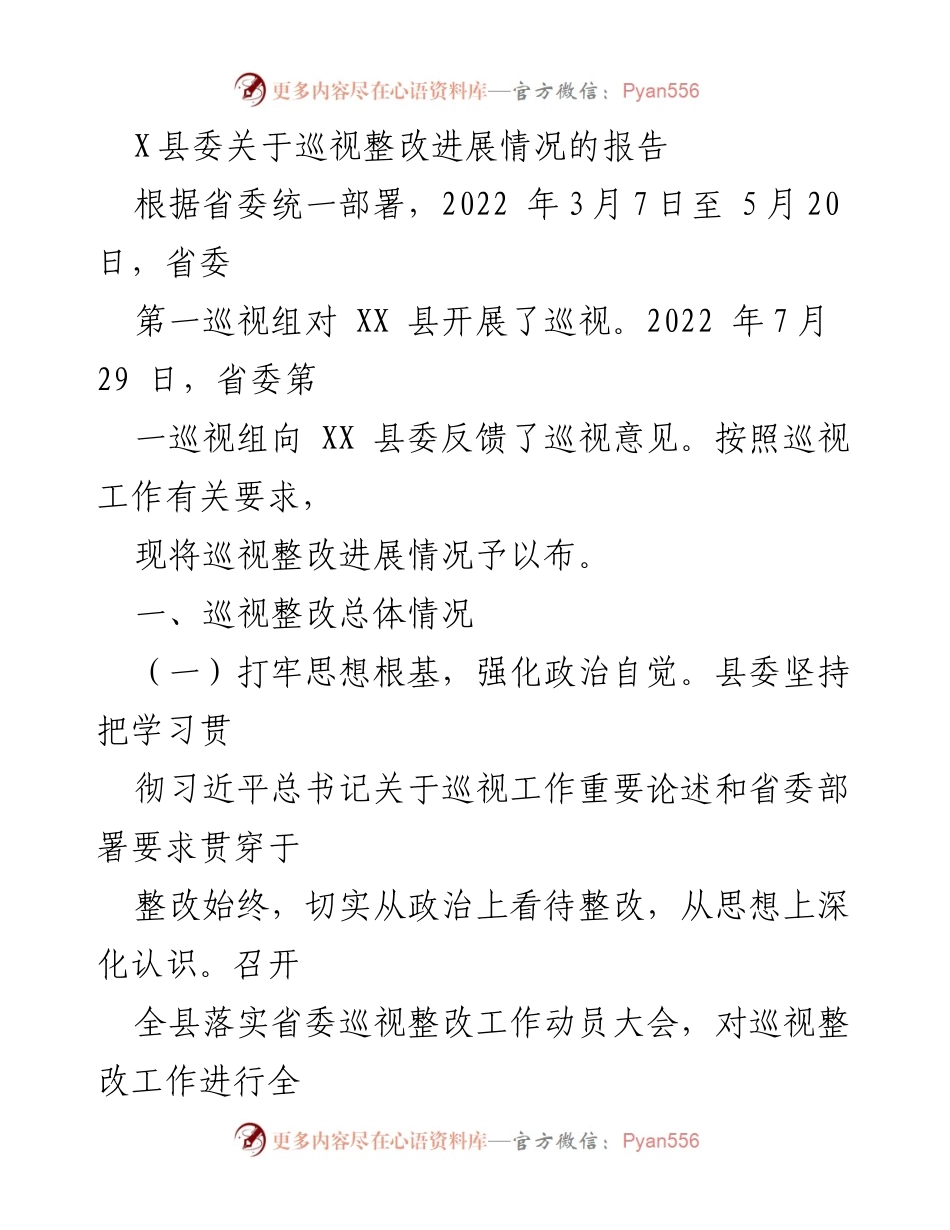 [调研报告] 巡视整改 - X县巡视整改进展情况报告.docx_第1页