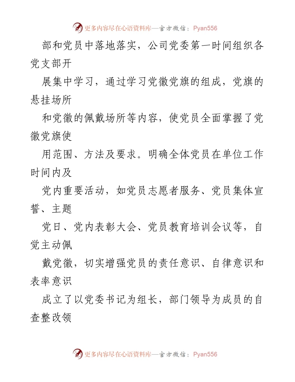 [调研报告] 央企党建 - 央企党徽党旗使用管理自查整改情况报告.docx_第2页