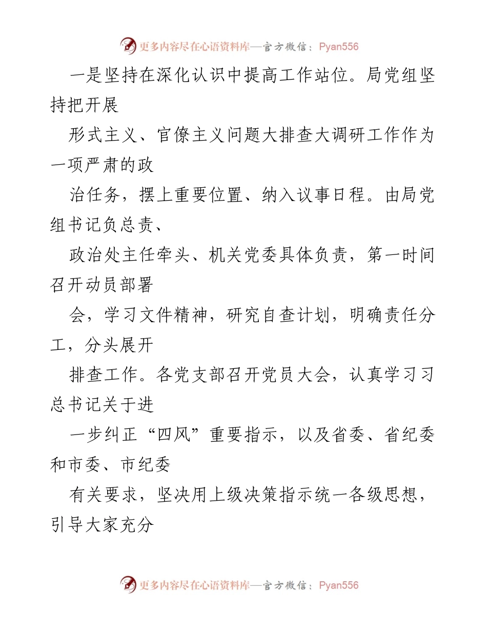[自查报告] 形式主义与官僚主义问题大排查工作总结.docx_第2页
