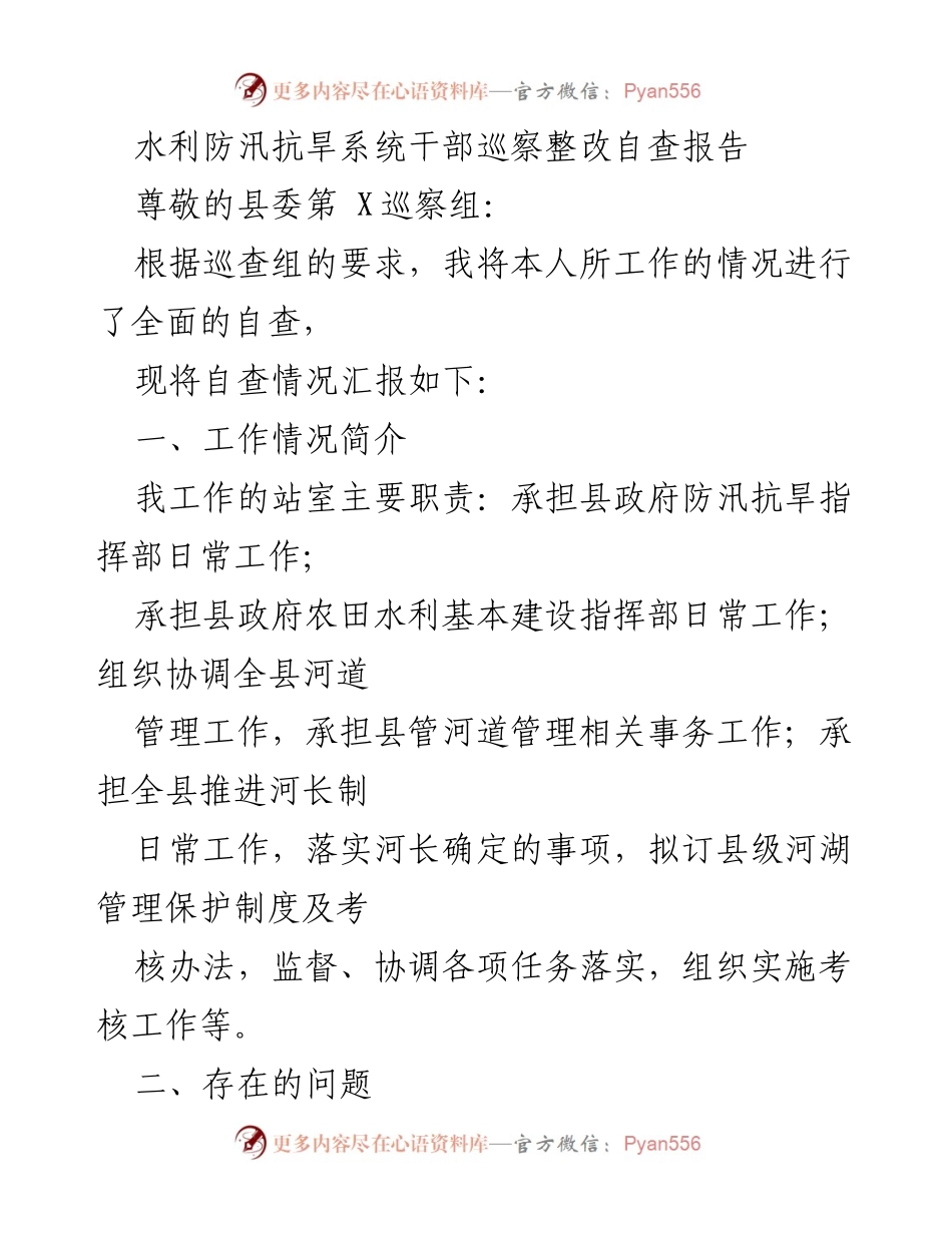 [自查报告] 水利防汛抗旱系统 - 巡察整改自查报告总结与反思.docx_第1页