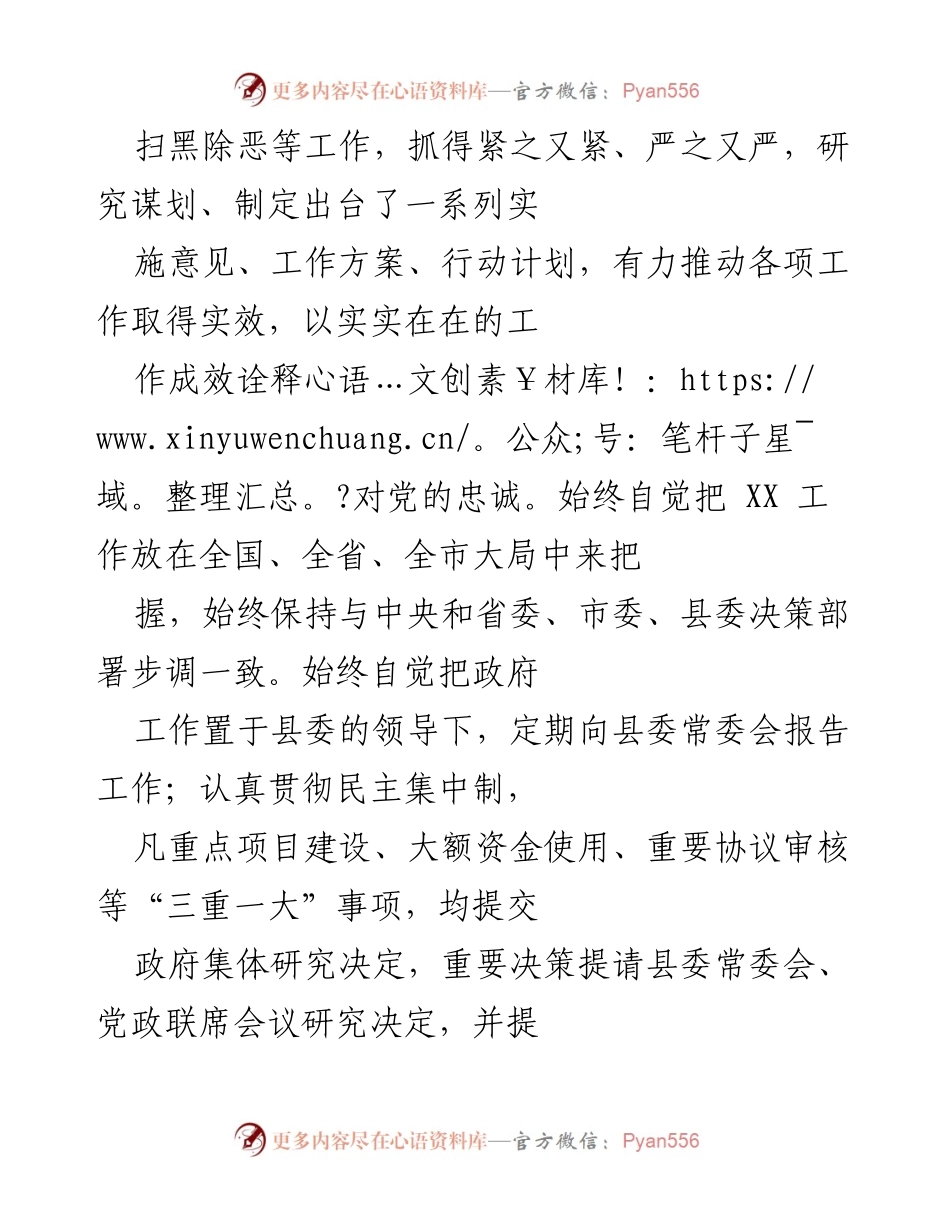 [自评报告] 政治素质考察 - X县长领导干部政治素质自评报告.docx_第2页