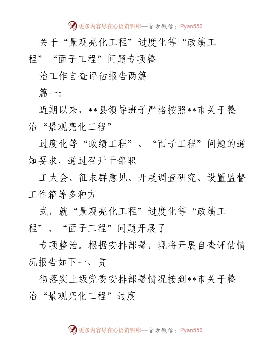 [自查评估报告] 整治工作 - “景观亮化工程”专项整治自查评估情况报告.docx_第1页