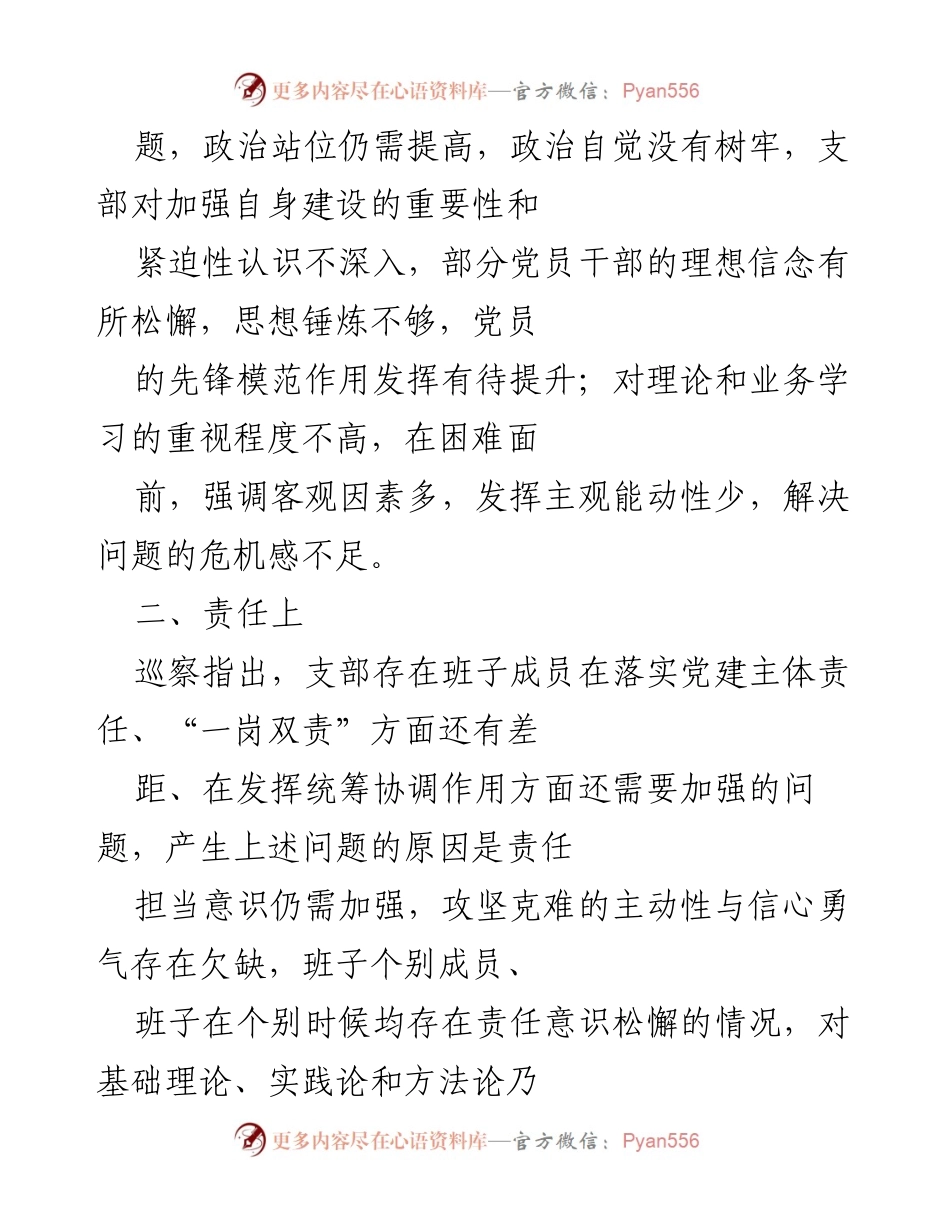 [调研报告] 巡察反馈 - 某支部问题原因分析与整改措施建议.docx_第2页