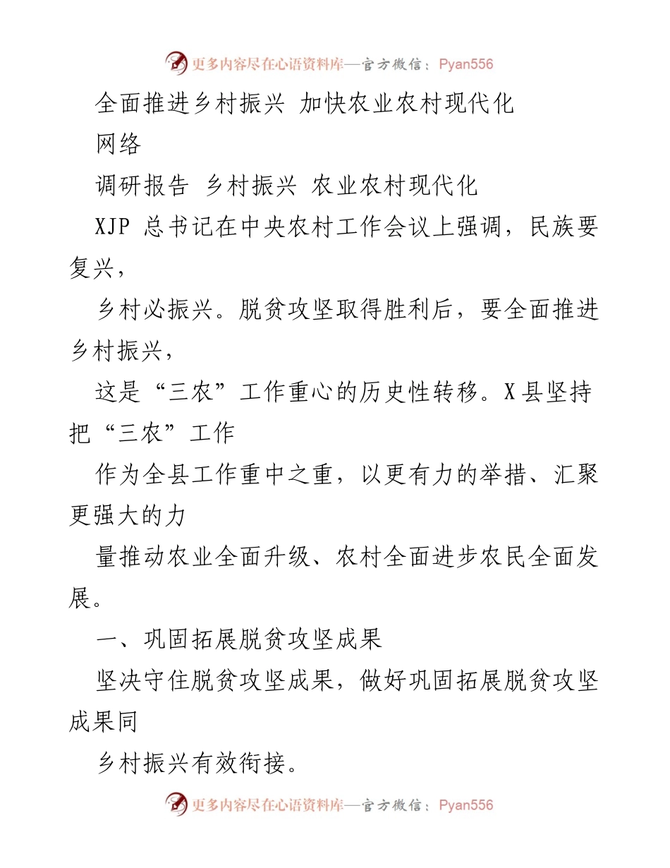 [调研报告] 乡村振兴 - 加快农业农村现代化的实践与路径.docx_第1页