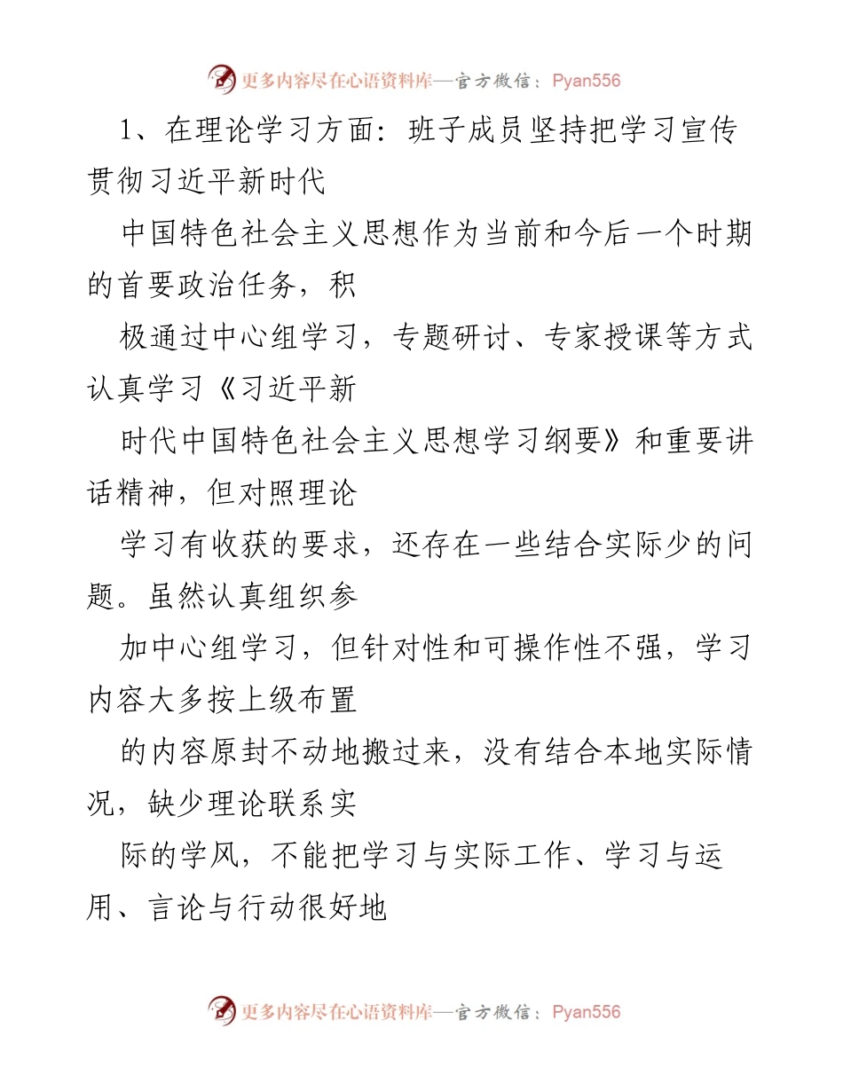 [调研报告] 主题教育 - 公司班子成员主题教育问题整改分析报告.docx_第2页